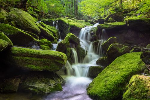 Green waterfalls