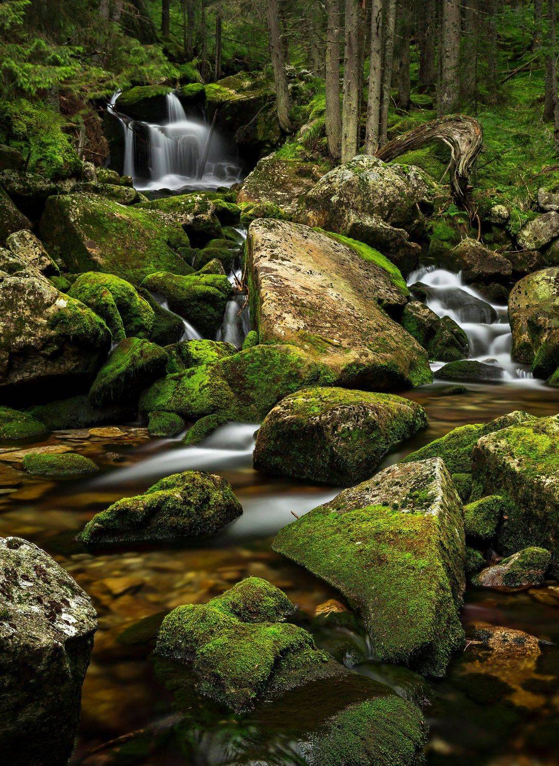 autumn, trees, river, green, waterfall, travel, nature, landscape, romania, retezat, Lazar Ioan Ovidiu