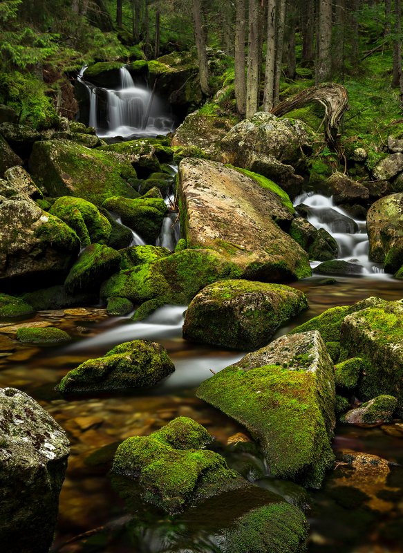 autumn, trees, river, green, waterfall, travel, nature, landscape, romania, retezat Green Forest фото превью
