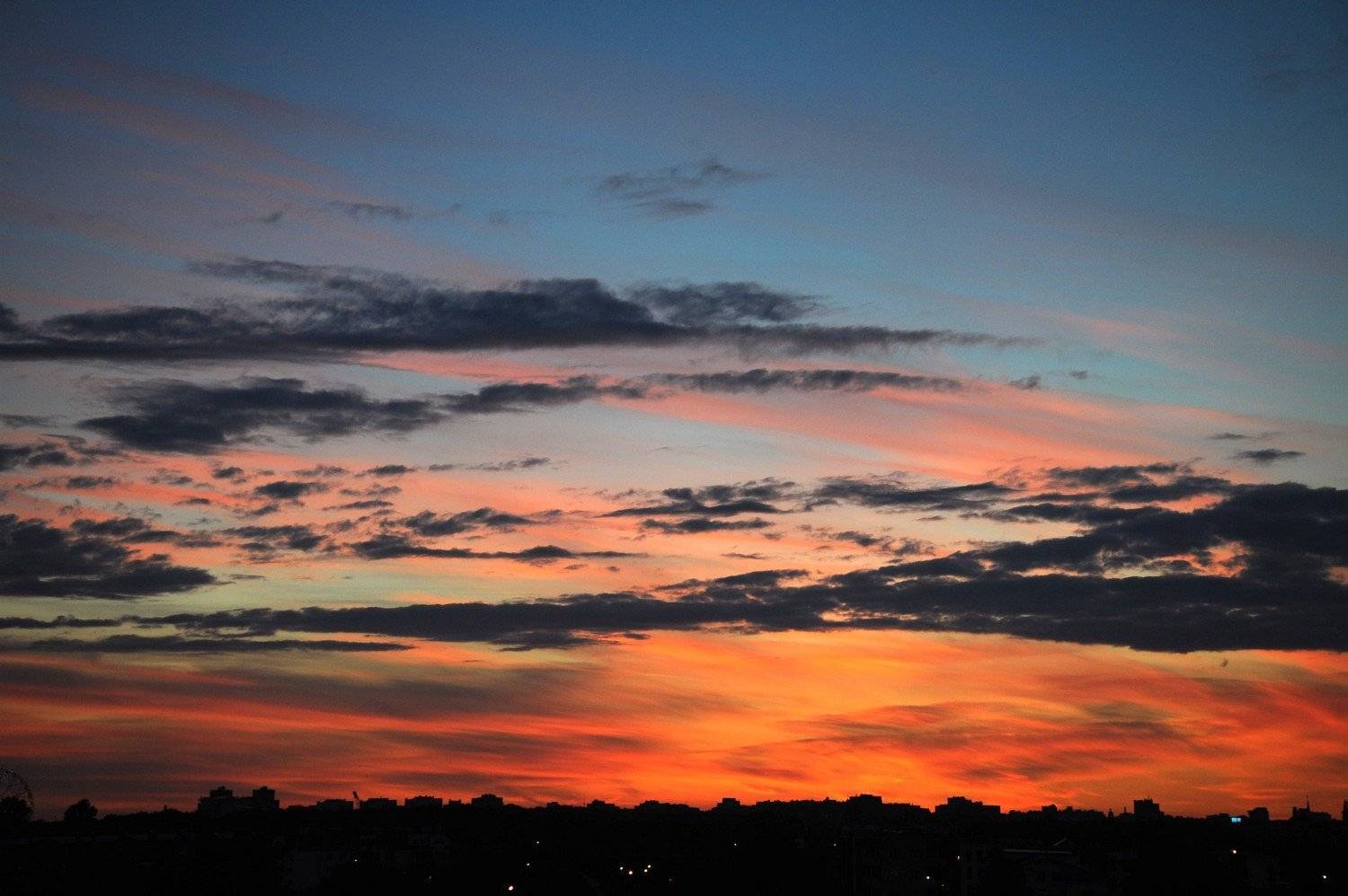 , Дарья Васильева