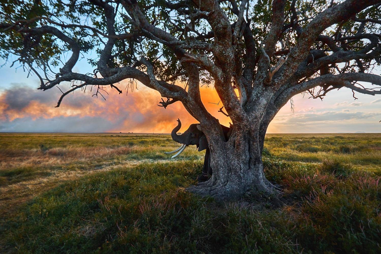 , Рашид Усманов