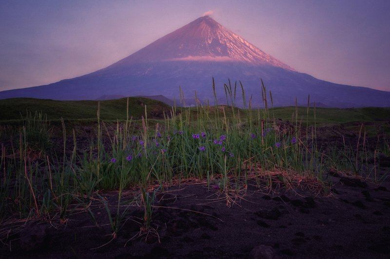 камчатка,вулкан,ключевская сиреневое утро фото превью