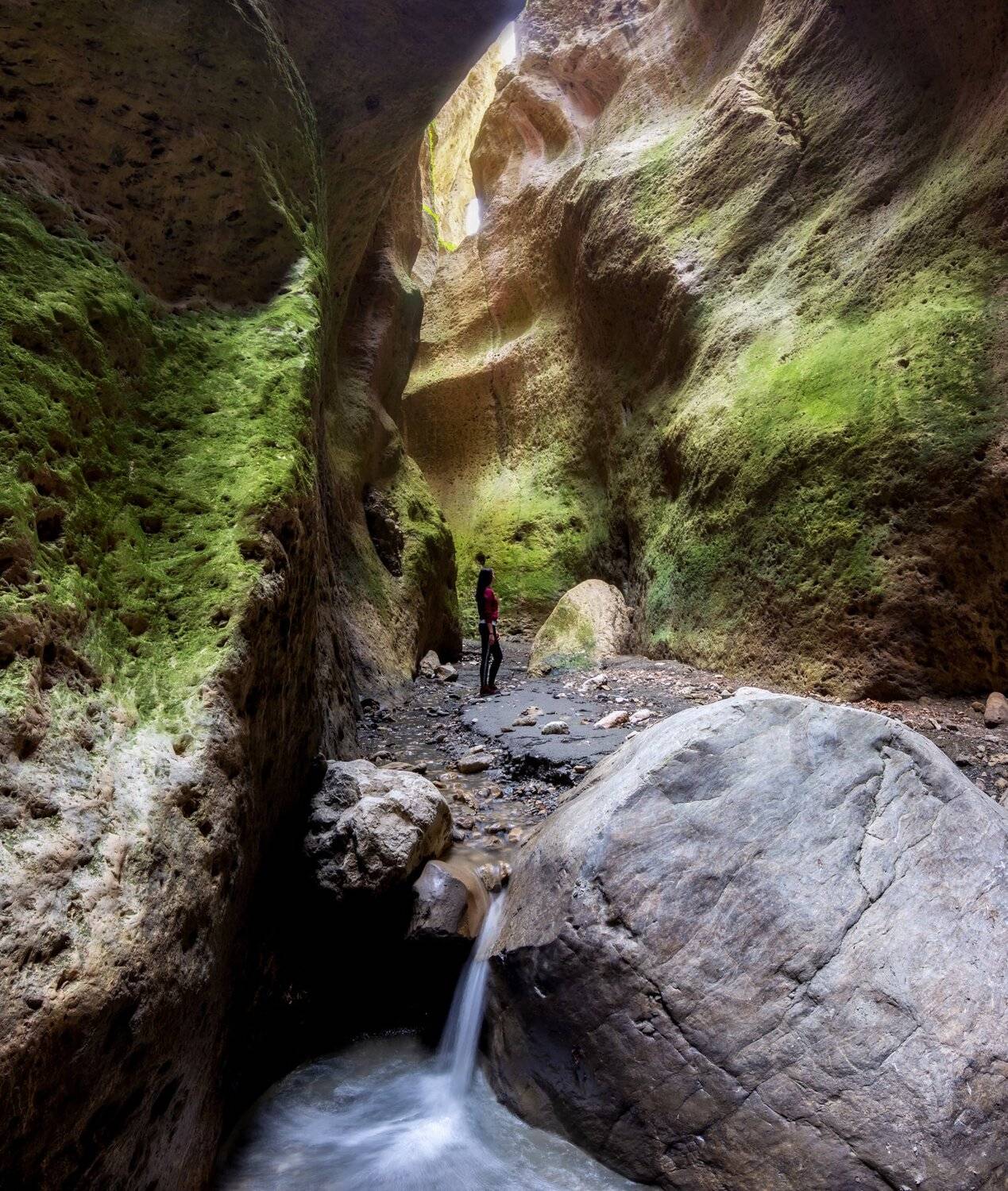 , Юлия Шумляева