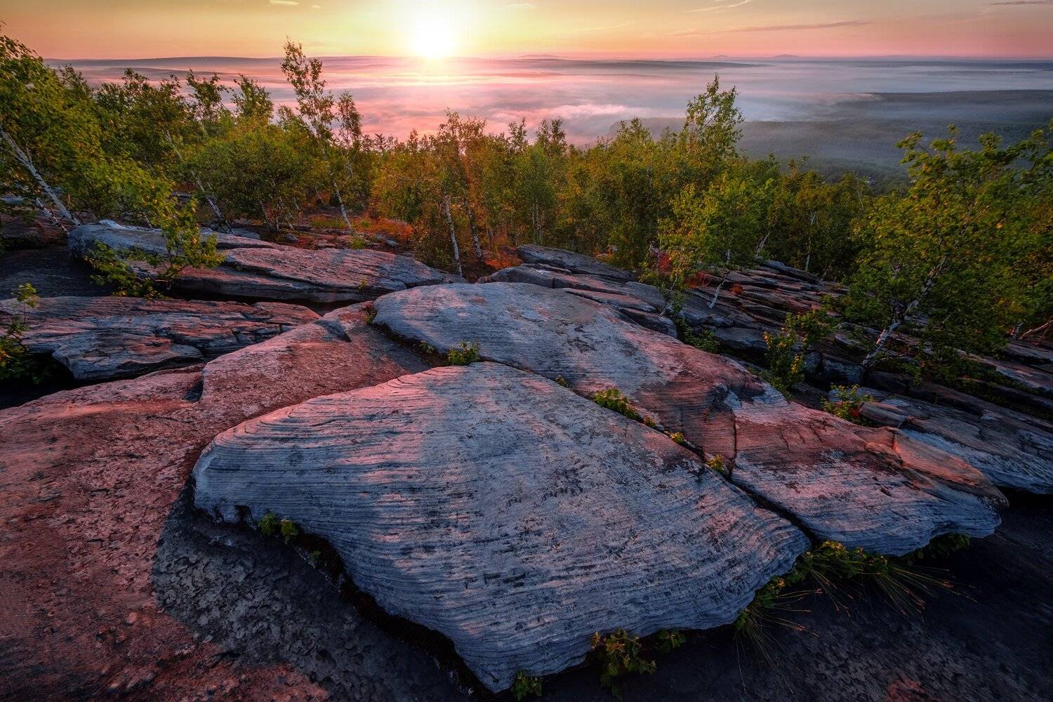 губаха, гора, крестовая, пермь, рассвет, утро, скалы, березы, солнце, Андрей Чиж