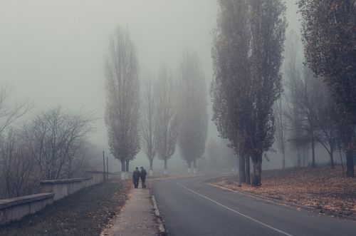 Мистика тумана...