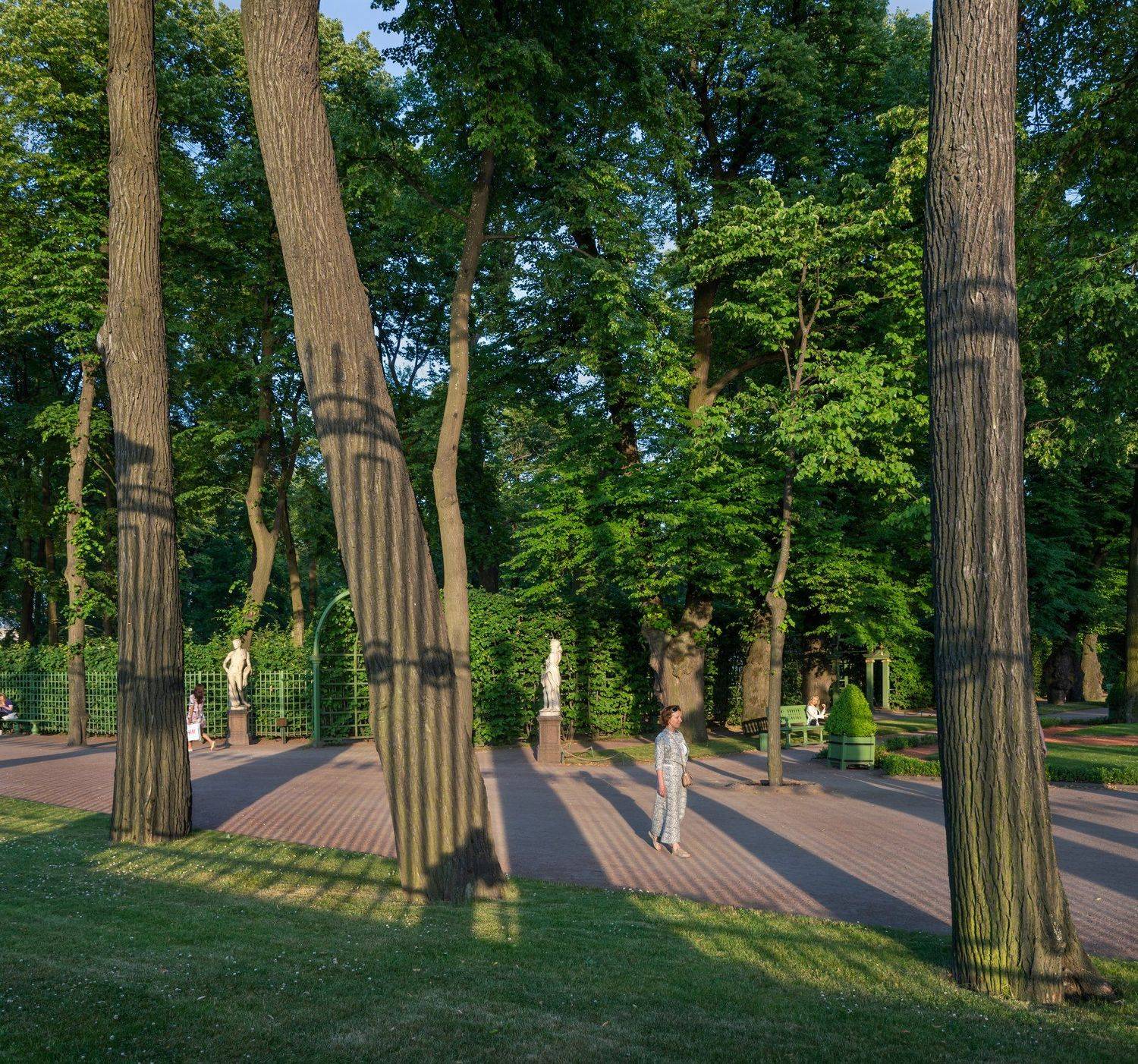 Летний сад, тени, вечер, деревья, аллеи, скульптура, Александр Рощин