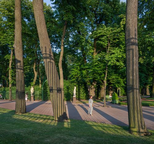 Вечерние тени Летнего сада