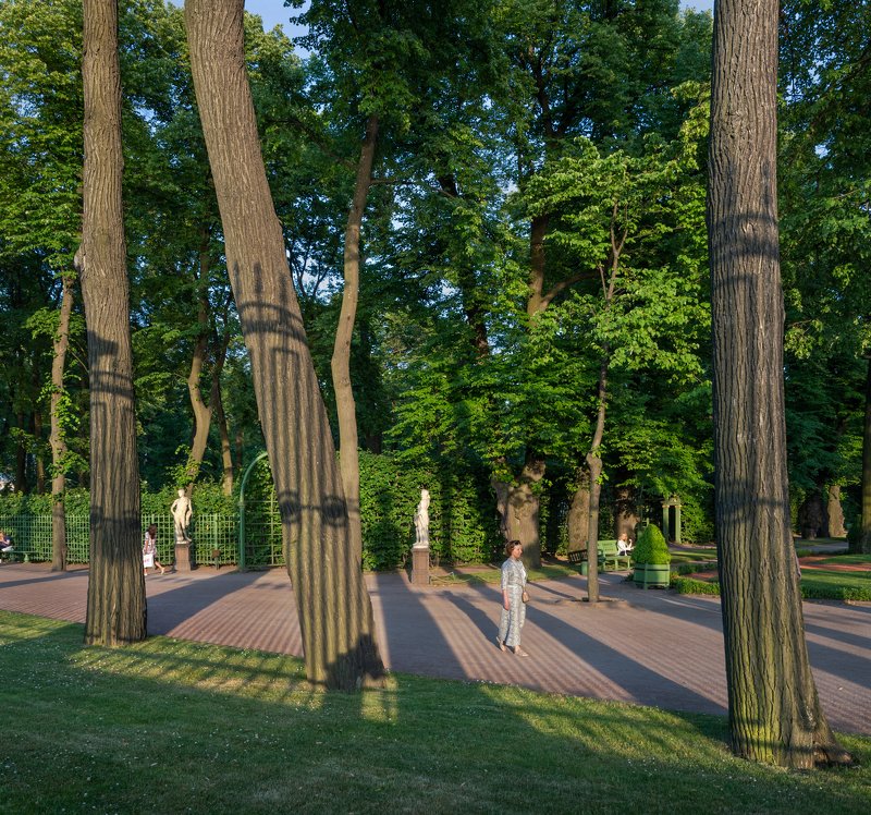 Летний сад, тени, вечер, деревья, аллеи, скульптура Вечерние тени Летнего сада фото превью