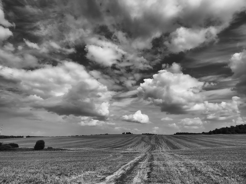 *** фото превью