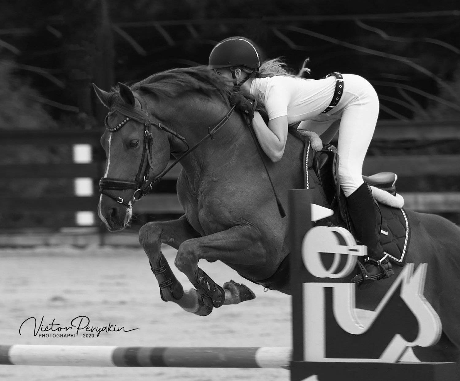 , Виктор Перякин