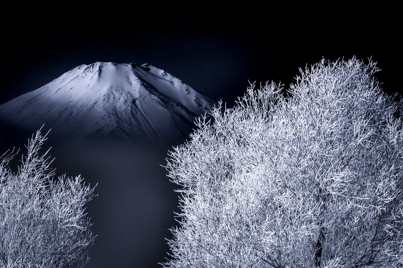 Fuji,Japan,mountain,snow,tree,cool,winter,rime,ice The white world фото превью