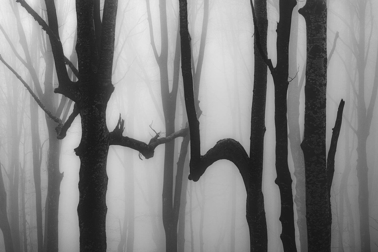 , Szabo Zsolt Andras