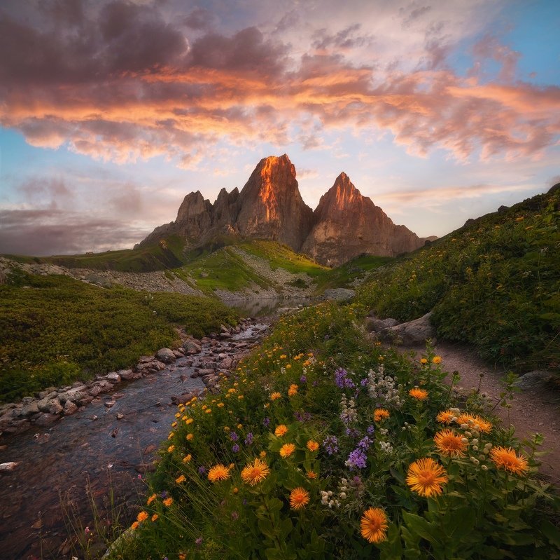 *** фото превью