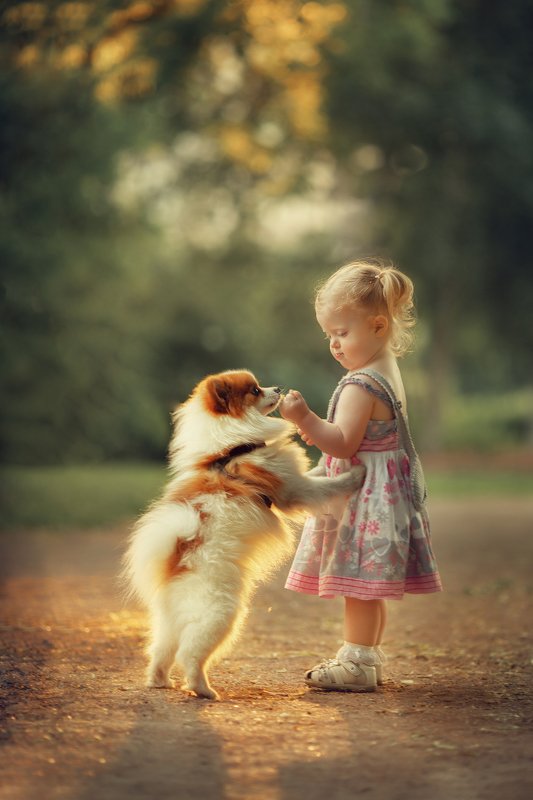 малышка собачка лето  Ну, Бублик! фото превью