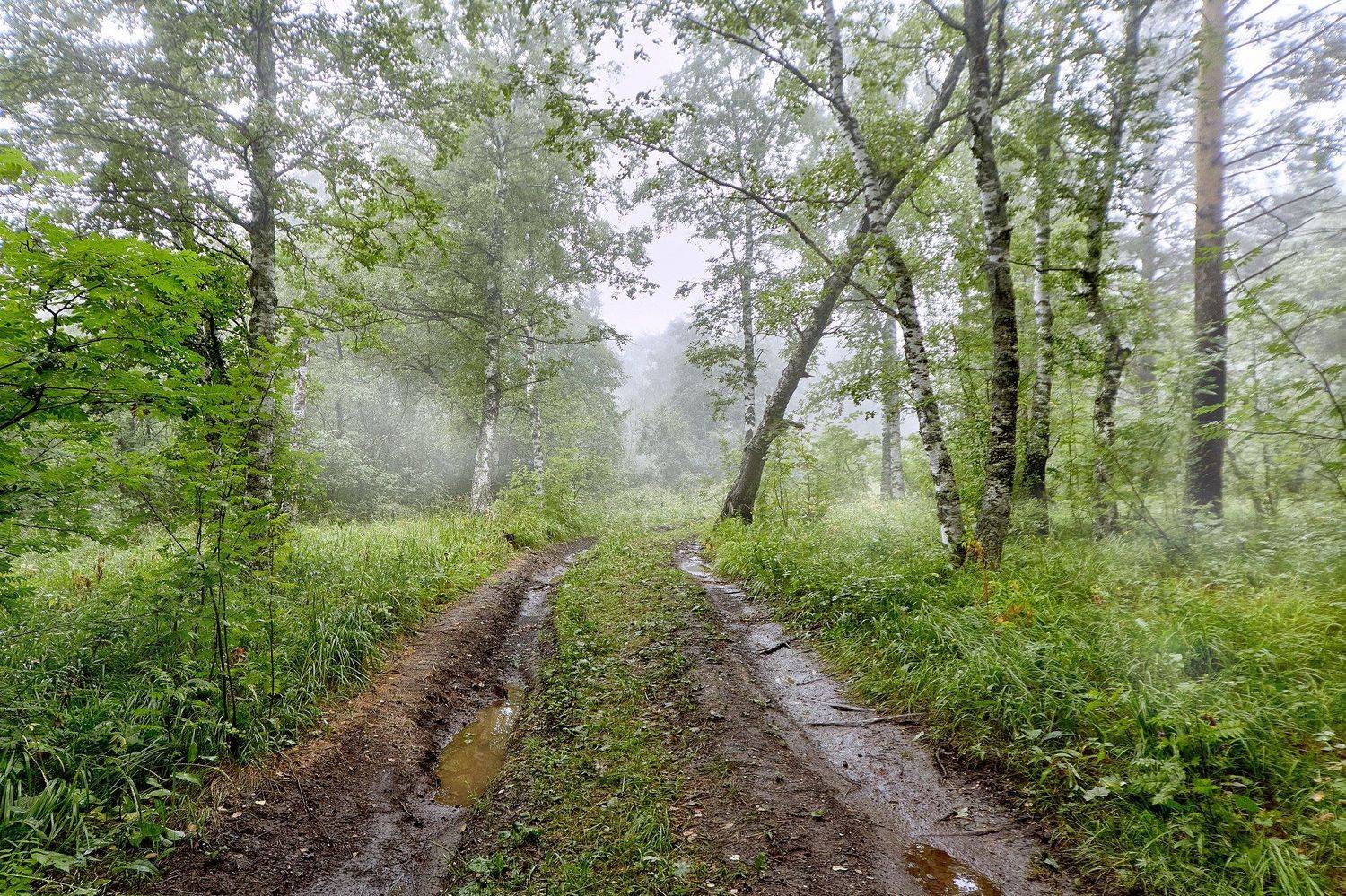 южный урал,оренбургская область, орск, новотроицк,башкирия, башкиртостан, Качурин Алексей