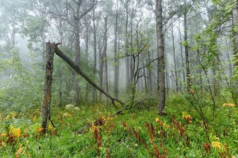 южный урал,оренбургская область, орск, новотроицк,башкирия, башкиртостан Из серии,\