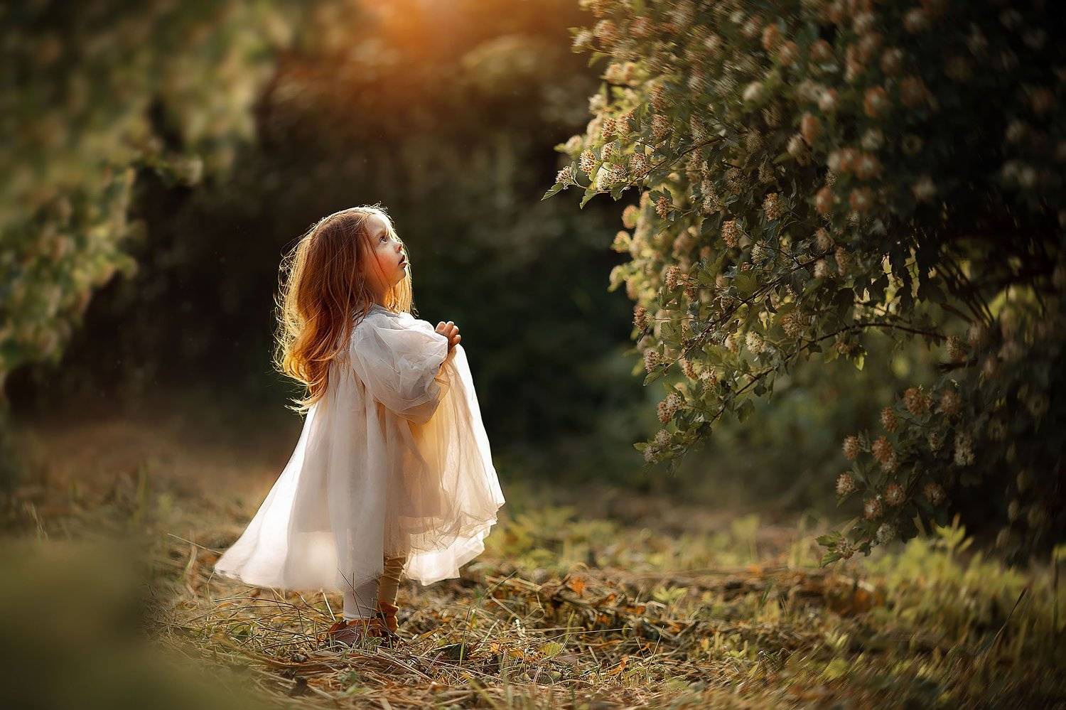 , Светлана Шелеметева