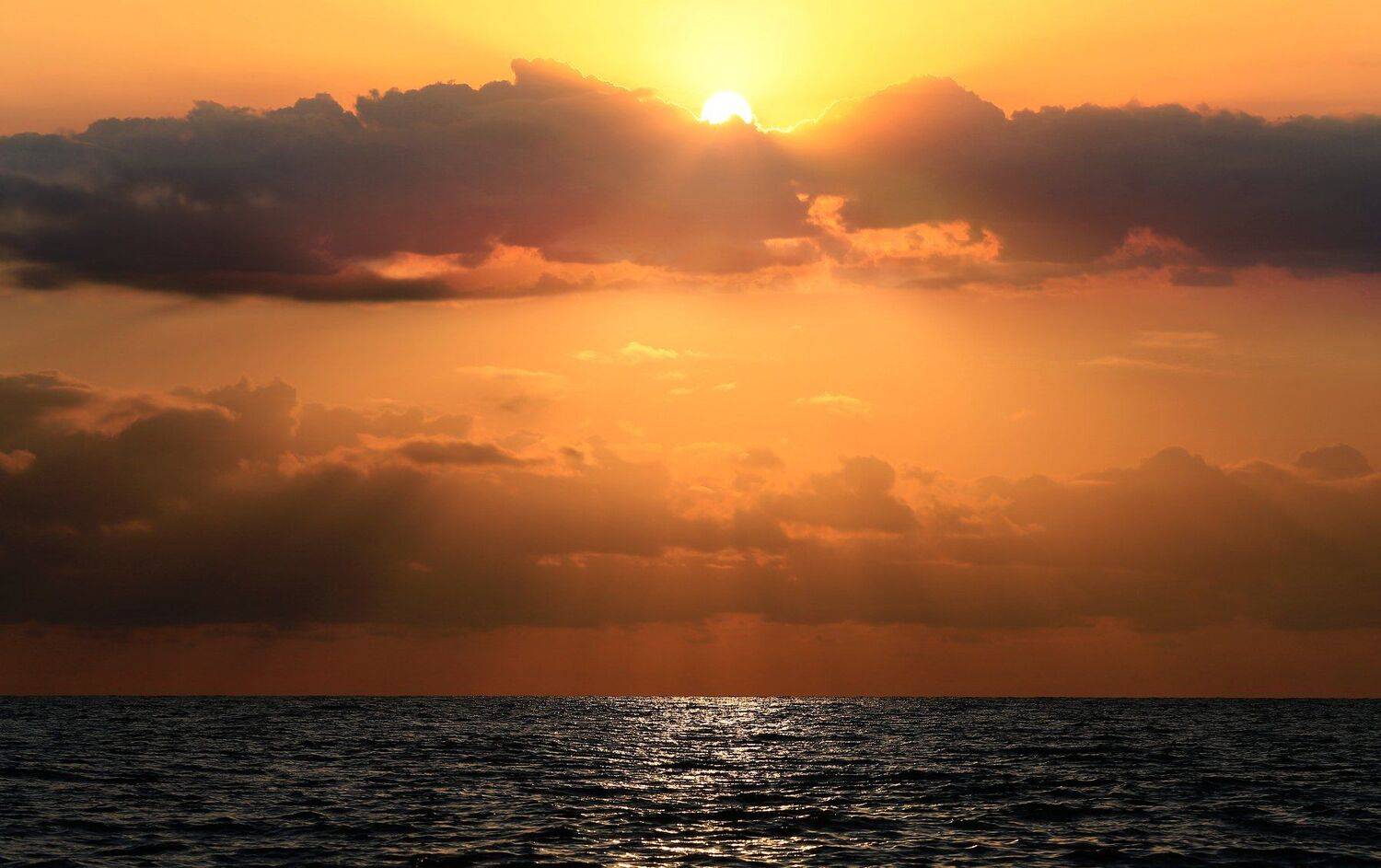 , Олег Богданов