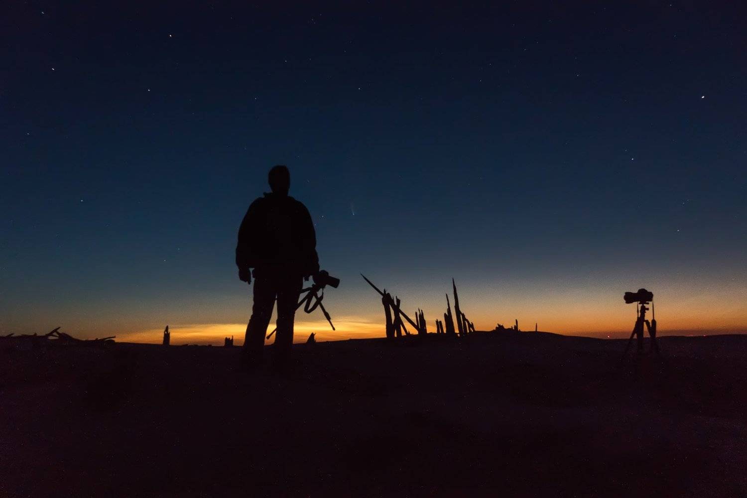 , Татьяна Рутковская