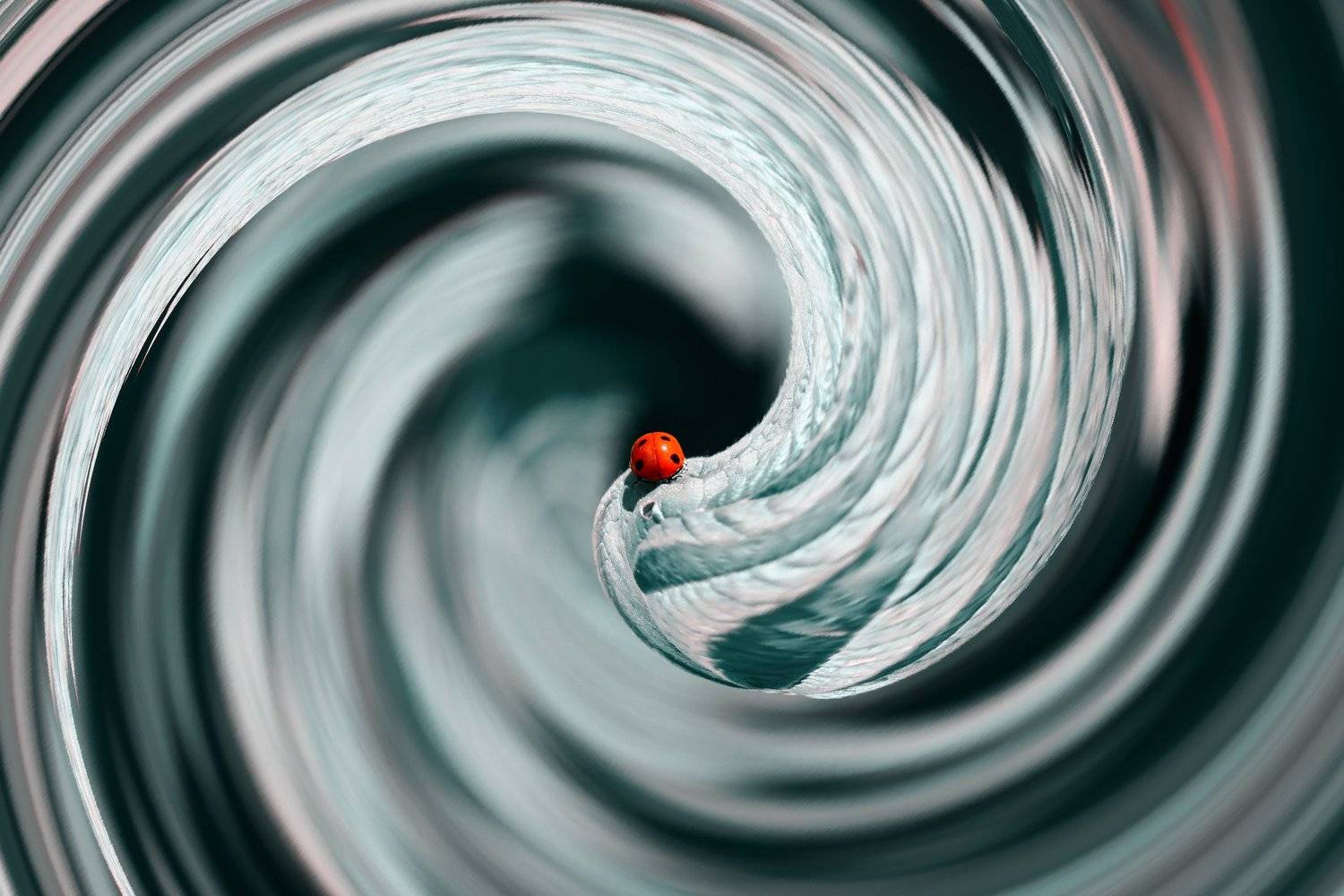 креатив, обработка, концепция, переход, concept, fineart, teleportations, escape, door, life, creative, коллаж, Дмитрий Салтыков