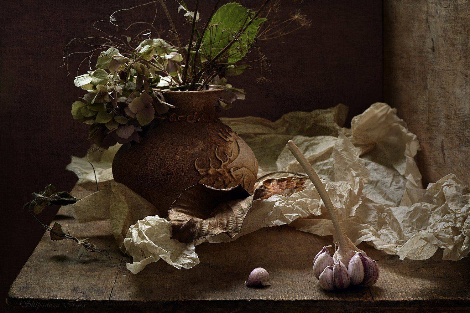 , Шипунова Ирина