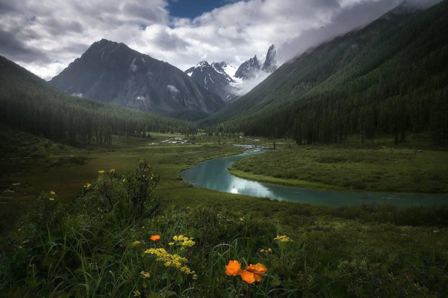 , Владимир Ляпин