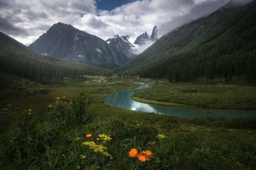 В стране горных лугов