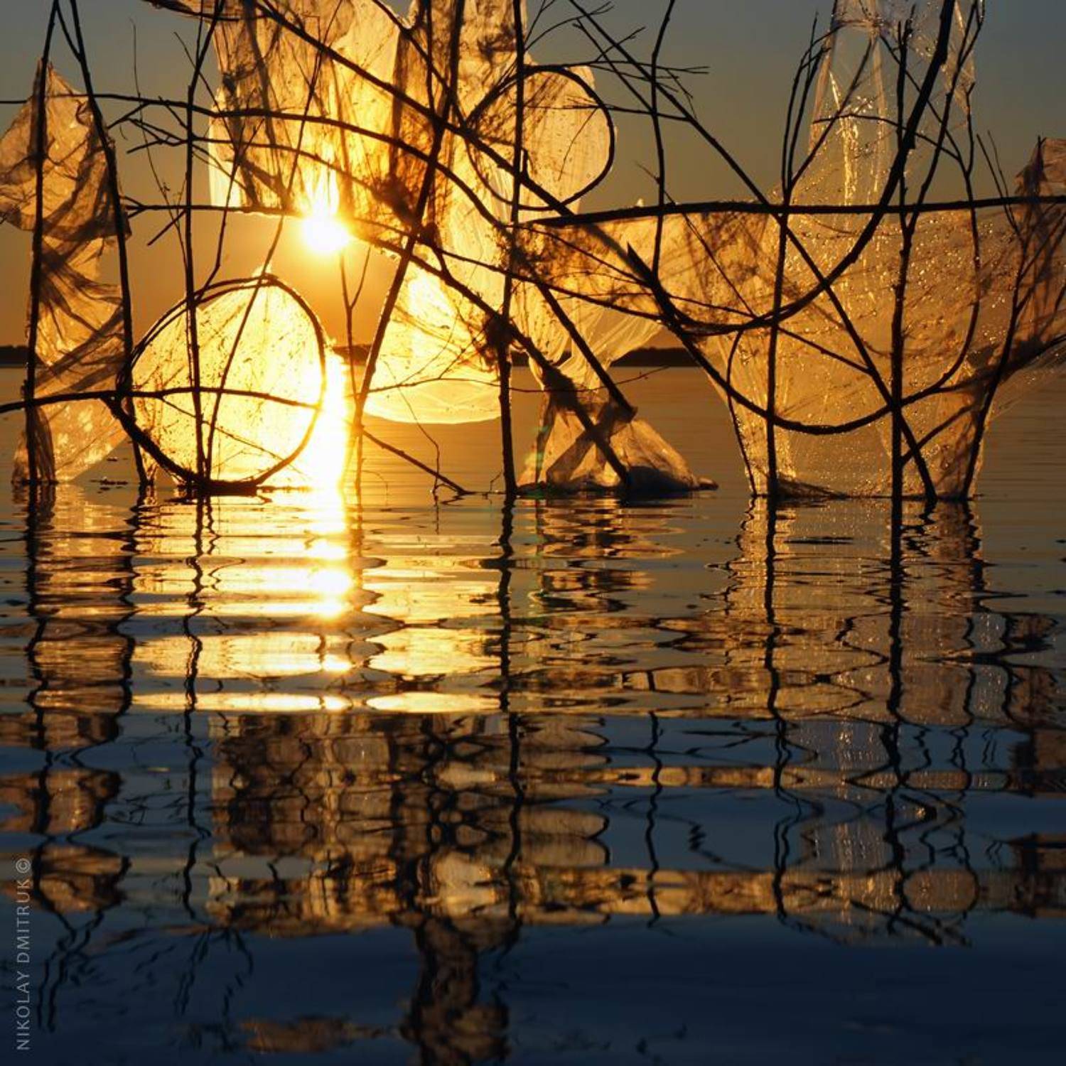 пейзаж, николай дмитрук