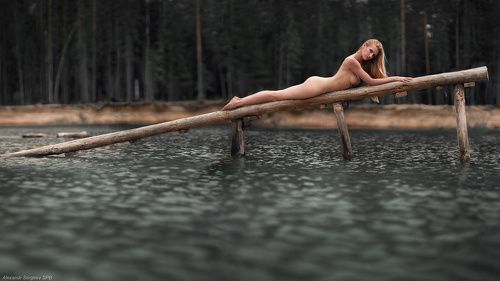 Лаконичность