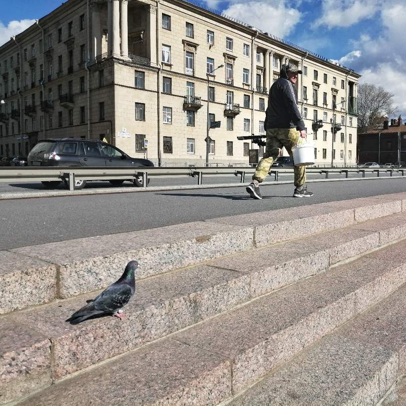 куда пошел фото превью