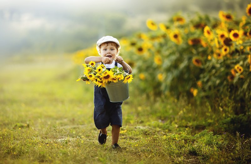 подсолнухи, ребенок, детский портрет, детский фотограф Так весело в подсолнухах фото превью