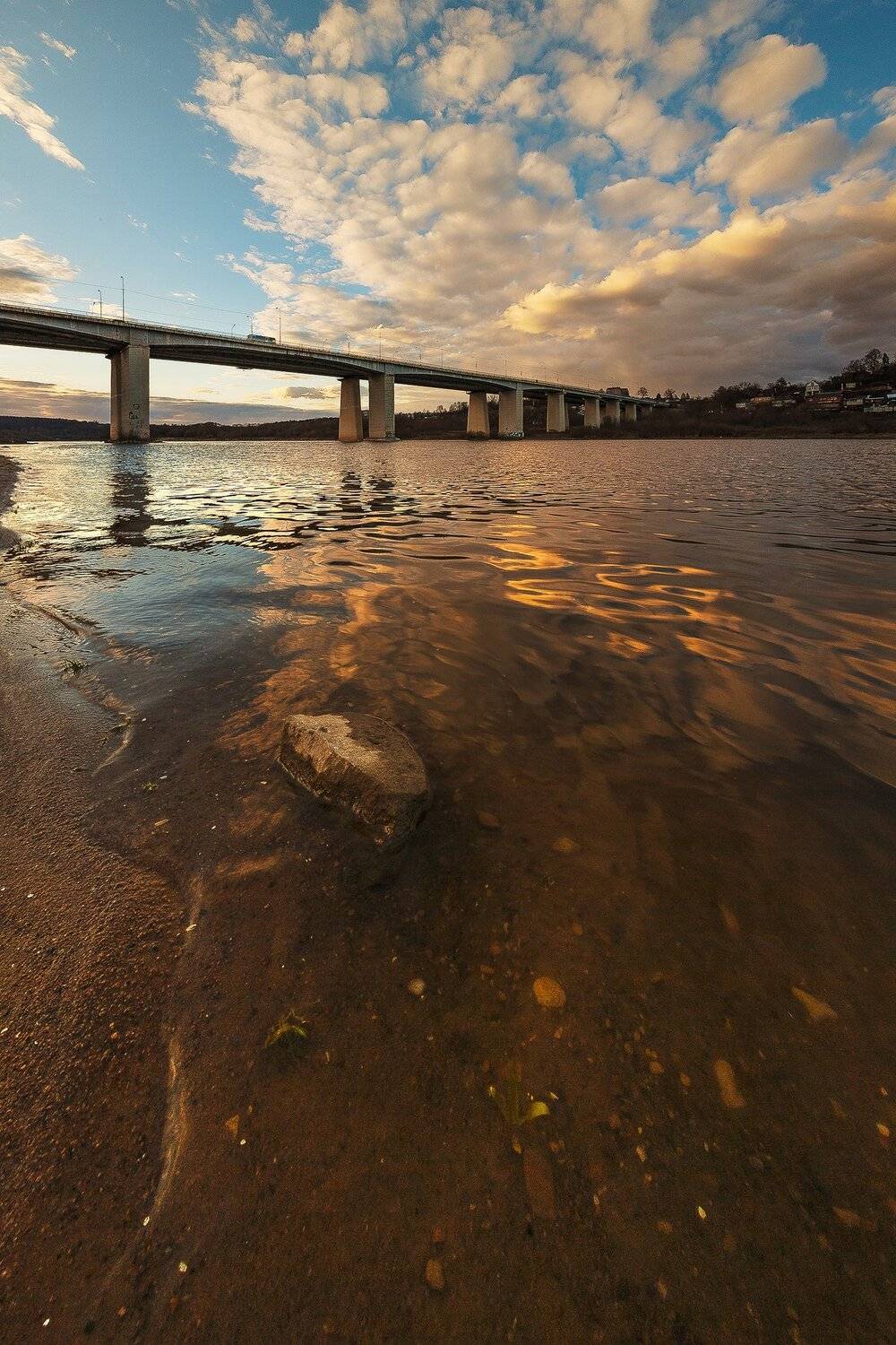 , Виталий Стрельцов