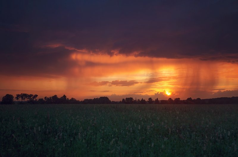 пушкин, царскоесело, царское, питер Рассвет без тумана;) фото превью