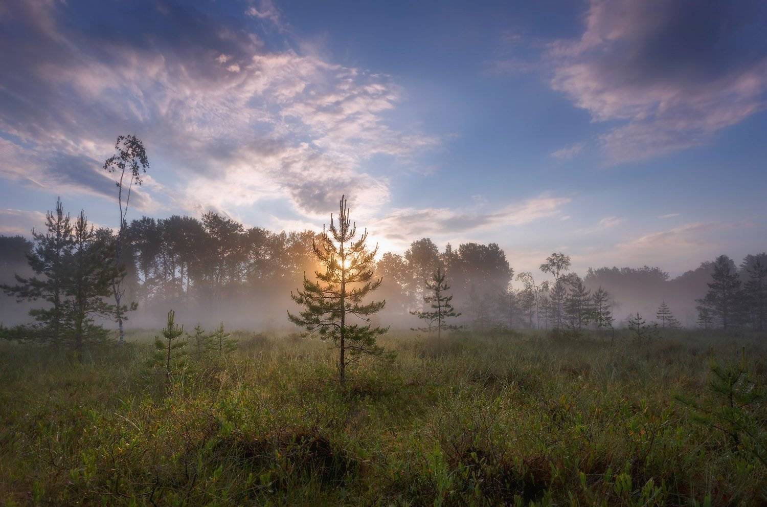ленобласть, Таня SHE (Aiya)