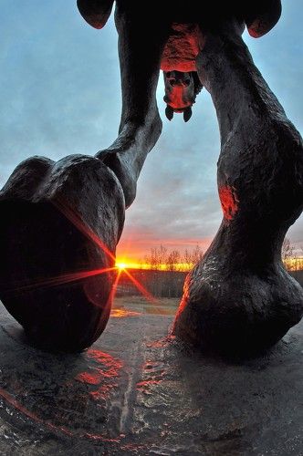 В лучах заката.