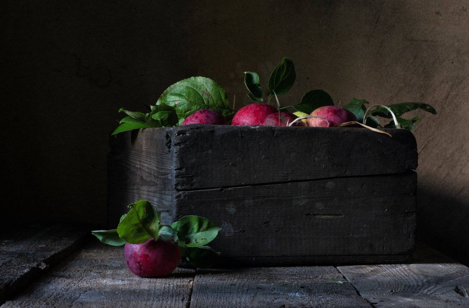 яблоки, сарай, дача, Елена Мустафина