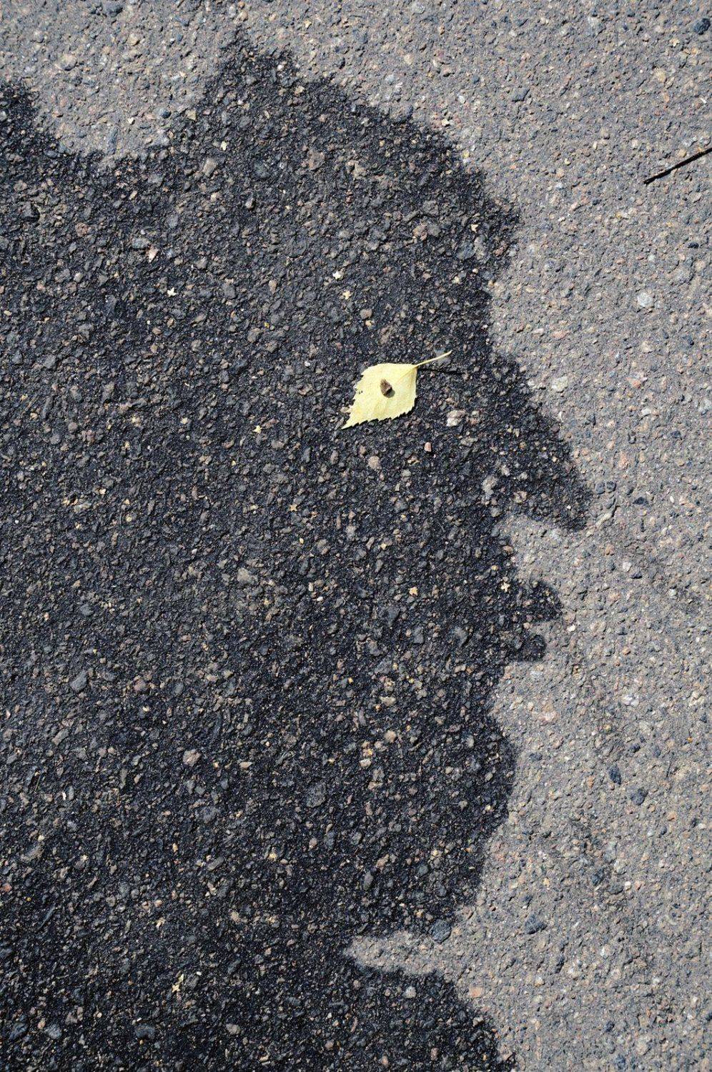 pareidolia, ПОЛУЕВ ИЛЬЯ