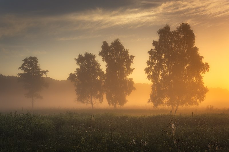 Spala Landscape Park фото превью