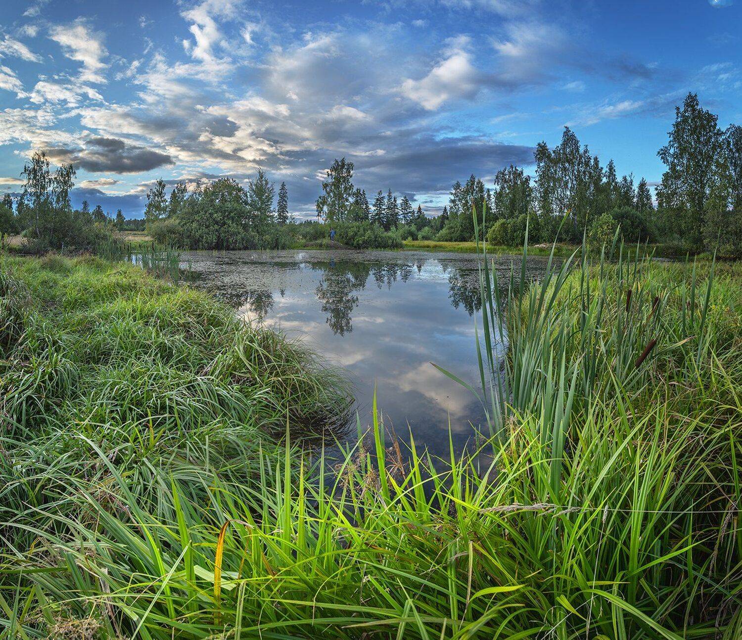 , Николай Андреев