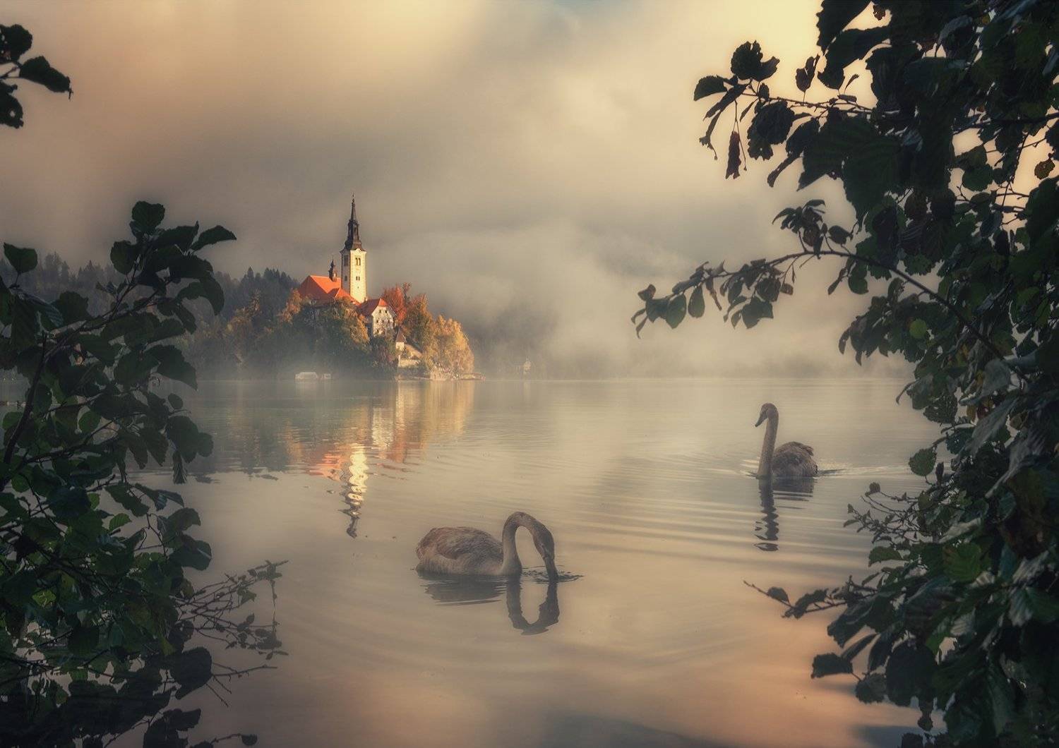 , Красимир Матаров