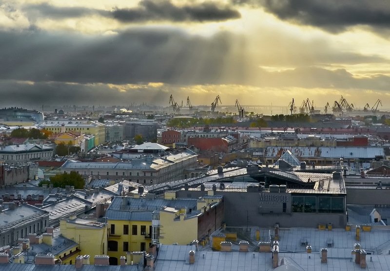 Перед дождем фото превью