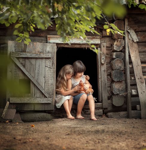 Любовь и куры