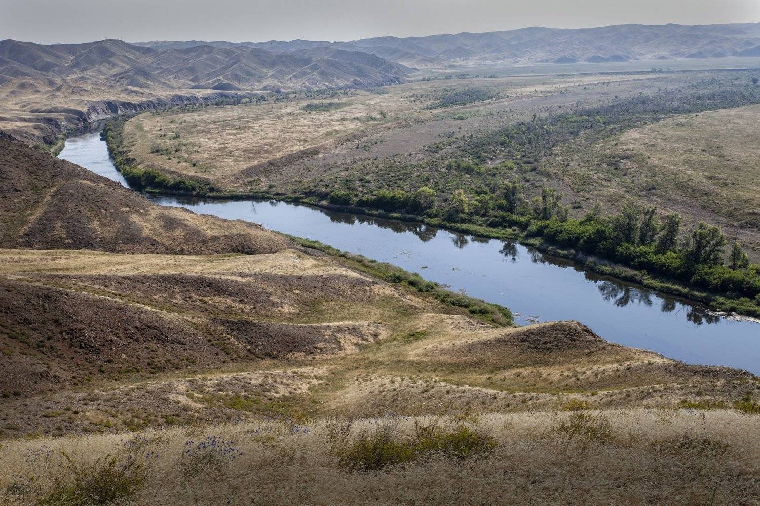 , петр чиков