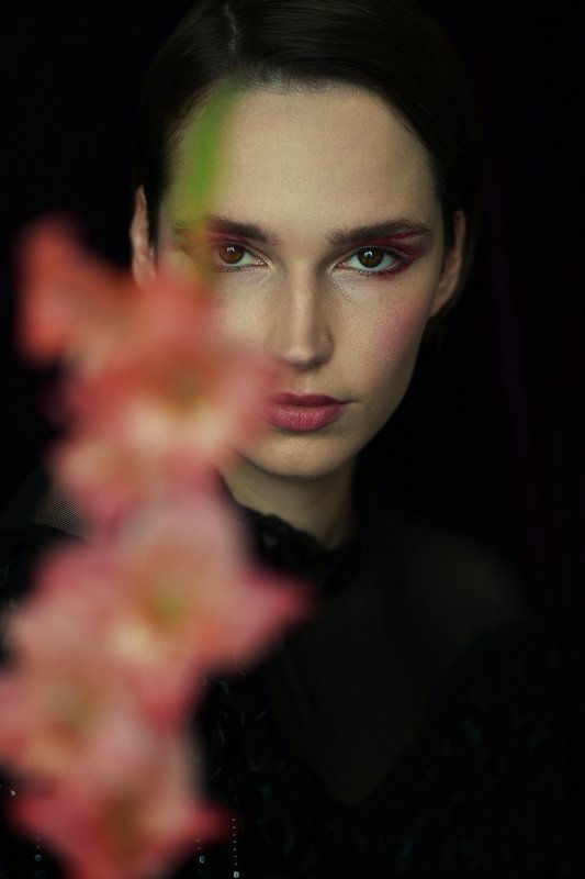 Гладиолус фото превью