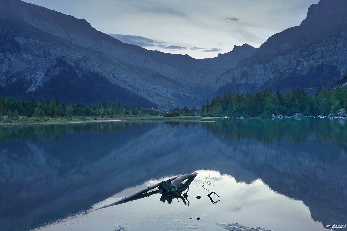 swiss, Матвеев Николай