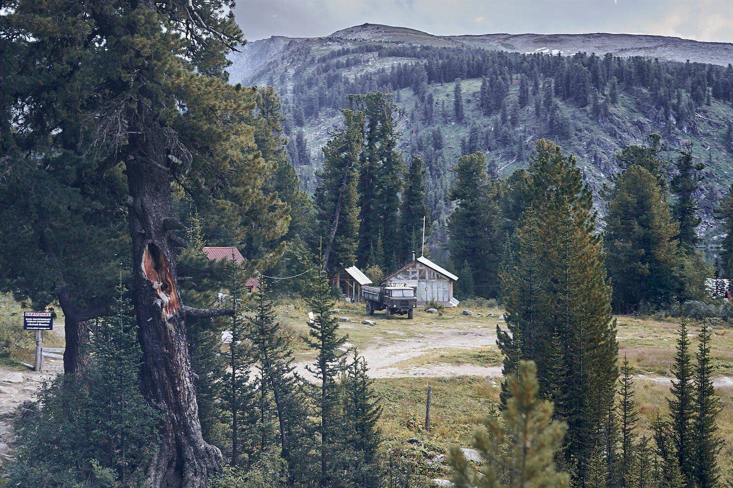 , Никита Арзамасов