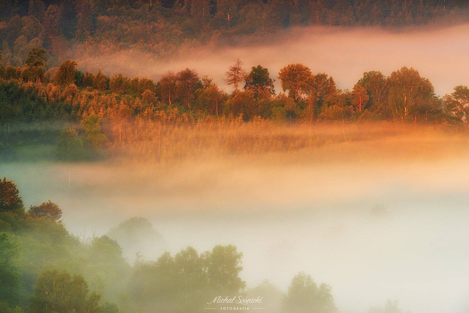 #landscape #poland #bieszczady #mountains #tree #amazing, Michał Sośnicki