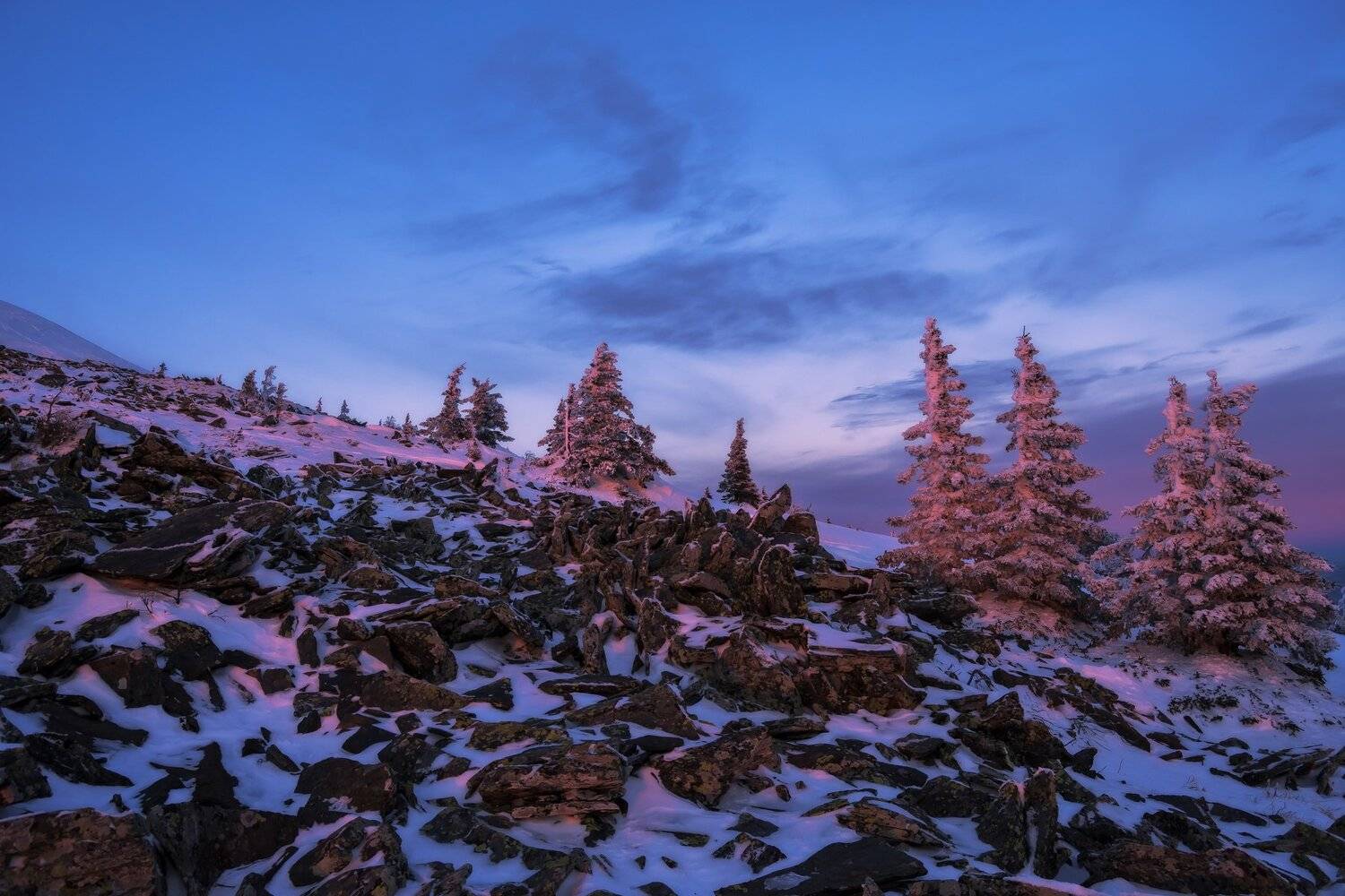 , Андрей Шарапов