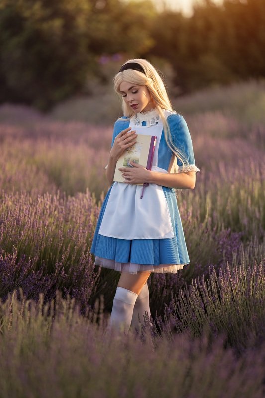 Алис в стране чудес мечты лаванда сказки девушка Алиса фото превью