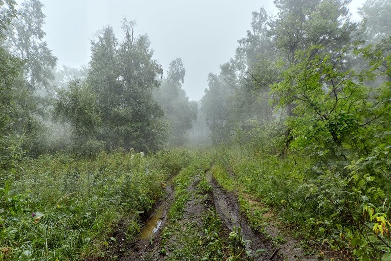 южный урал,оренбургская область, орск, новотроицк,башкирия, башкертостан Лесная дорога! фото превью